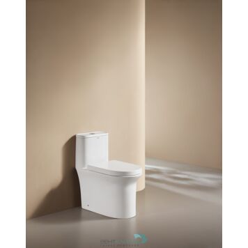 Напольный унитаз AB1802H с крышкой AB1118-A